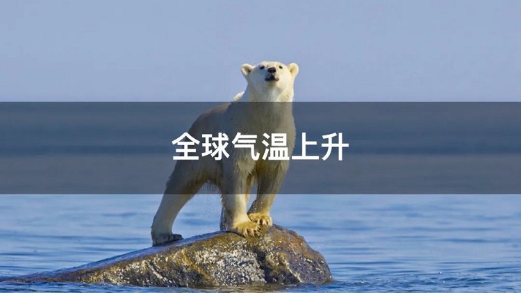 螞蟻商聯(lián)攜手金好來超市發(fā)起“以竹代木，翠我山河”植樹節(jié)活動(dòng)，從改變生活習(xí)慣開始！喊你為公益接力~